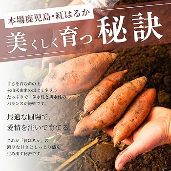 ひーページになります紅はるか上物Sサイズ３箱 紅はるか” 訳あり S・M・Lサイズ 約5kg 産地厳選 さつまいも